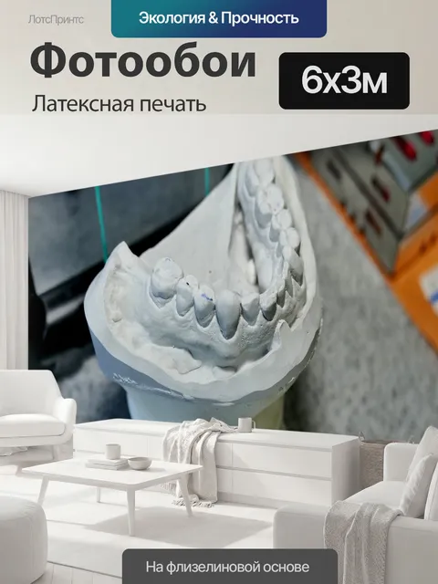 600 × 300 см · Латексная печать