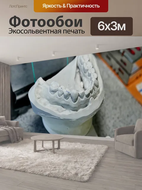600 × 300 см · Экосольвентная печать
