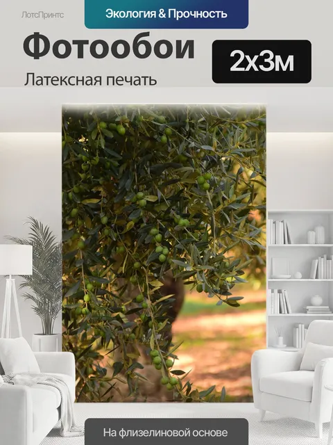 200 × 300 см · Латексная печать