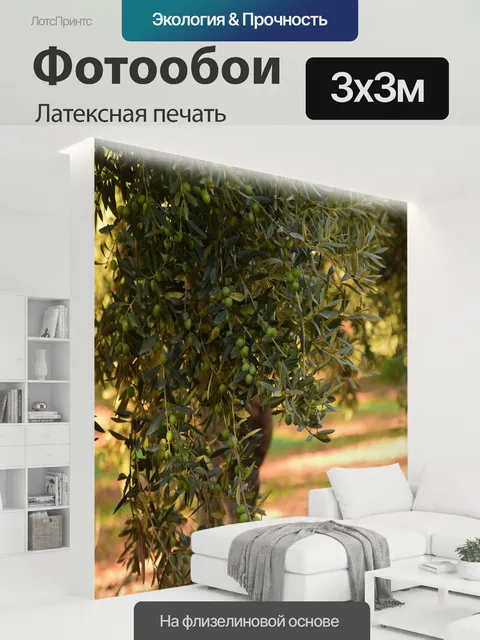 300 × 300 см · Латексная печать