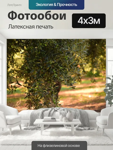400 × 300 см · Латексная печать