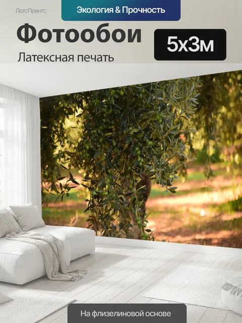 500 × 300 см · Латексная печать