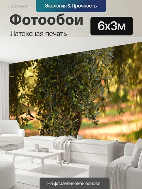 600 × 300 см · Латексная печать