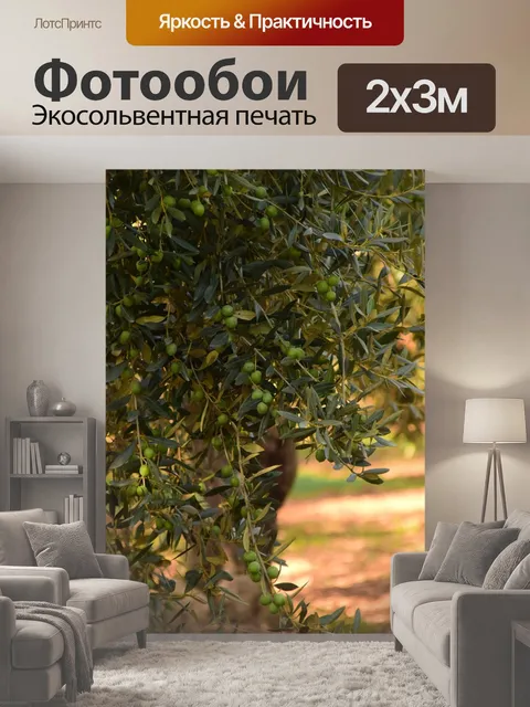200 × 300 см · Экосольвентная печать
