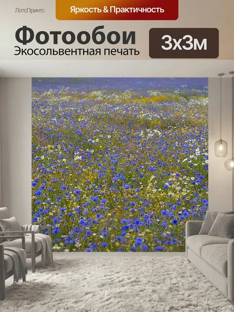 Фотообои Васильки, васильковое поле, летом