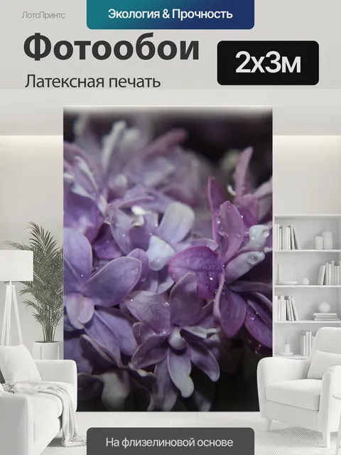 200 × 300 см · Латексная печать