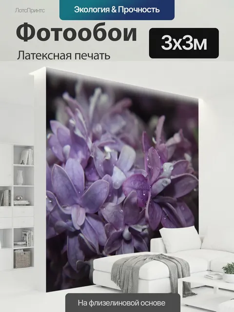 300 × 300 см · Латексная печать