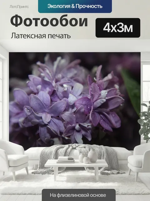 400 × 300 см · Латексная печать