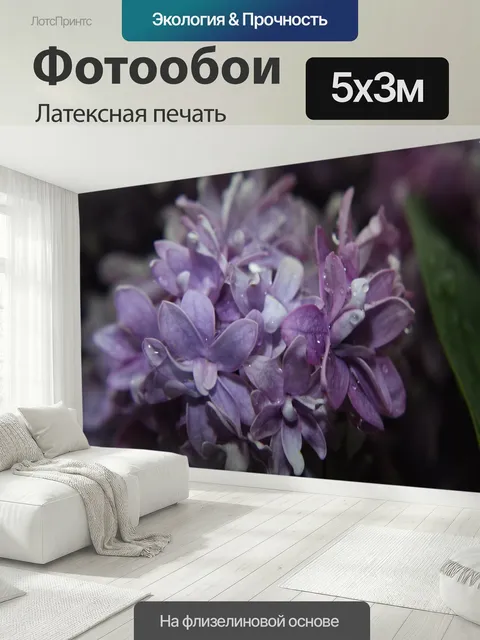 500 × 300 см · Латексная печать