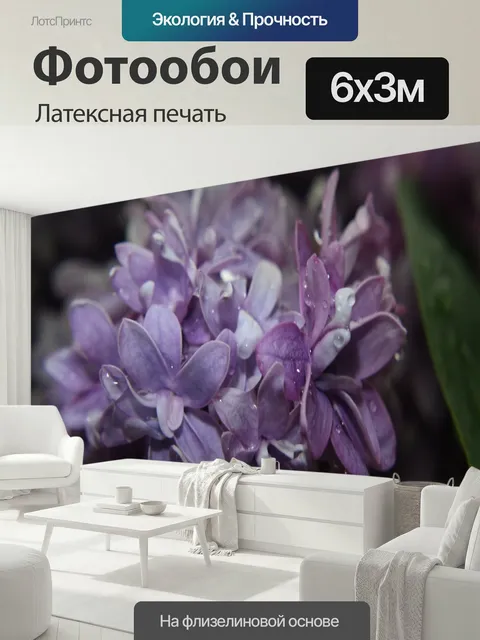 600 × 300 см · Латексная печать