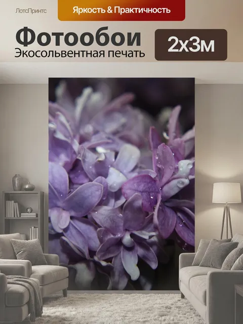 200 × 300 см · Экосольвентная печать