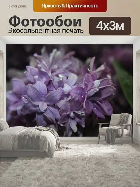 400 × 300 см · Экосольвентная печать