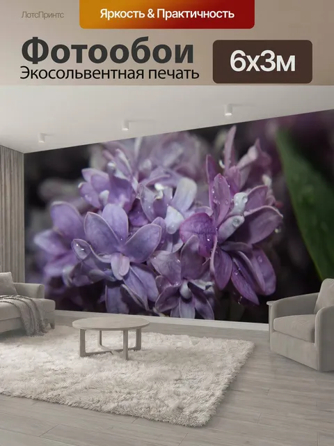 600 × 300 см · Экосольвентная печать