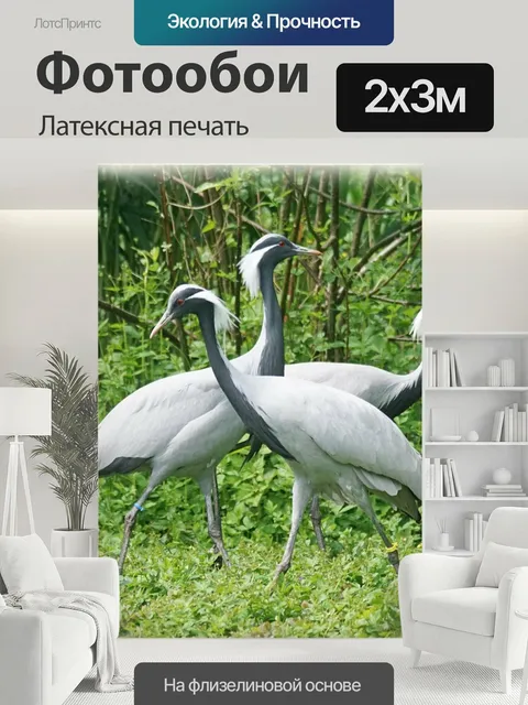 200 × 300 см · Латексная печать