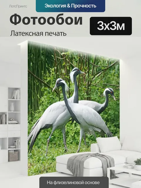 300 × 300 см · Латексная печать