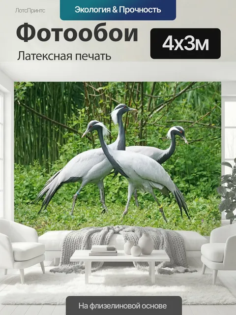 400 × 300 см · Латексная печать