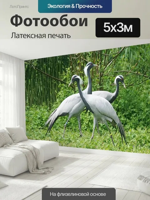 500 × 300 см · Латексная печать
