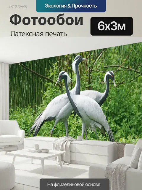 600 × 300 см · Латексная печать