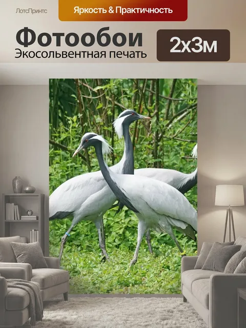 200 × 300 см · Экосольвентная печать