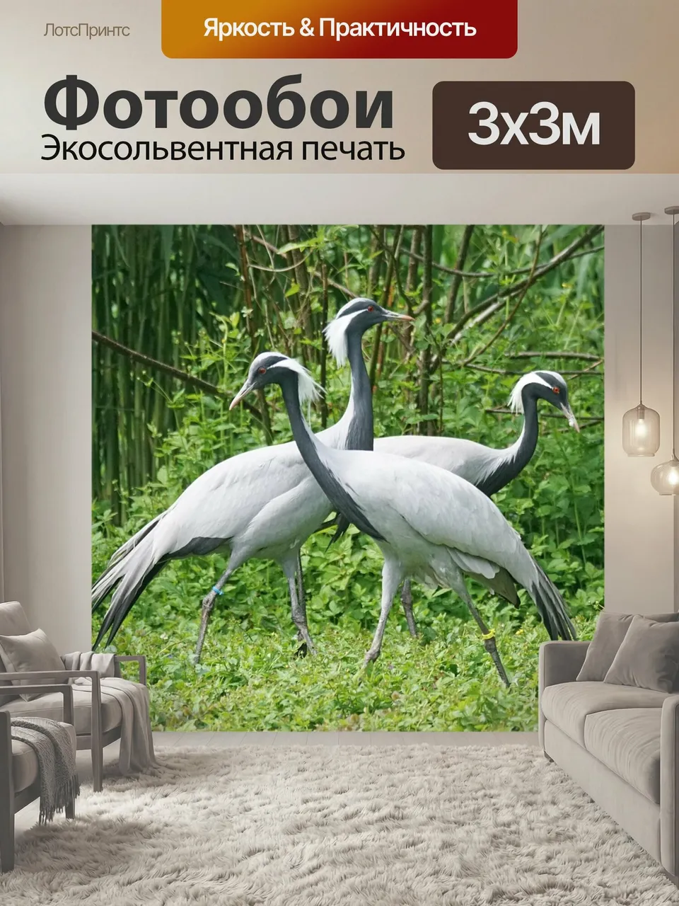 Фотообои Кран, белогрудый журавль, птица