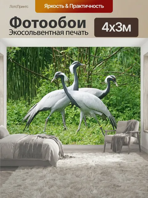 400 × 300 см · Экосольвентная печать