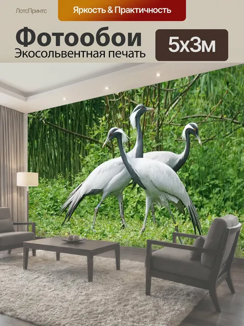 500 × 300 см · Экосольвентная печать