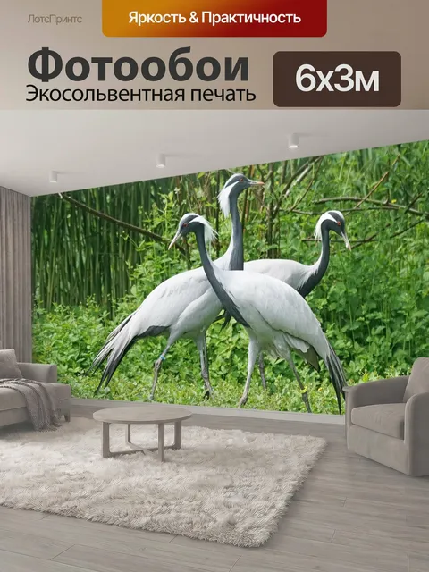 600 × 300 см · Экосольвентная печать