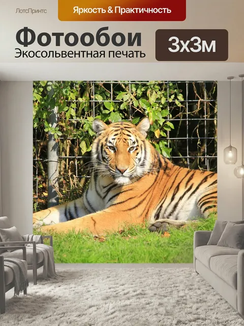 Фотообои Тигр, голова, кот