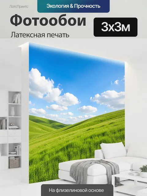 300 × 300 см · Латексная печать