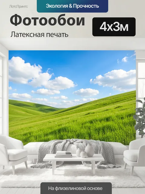 400 × 300 см · Латексная печать