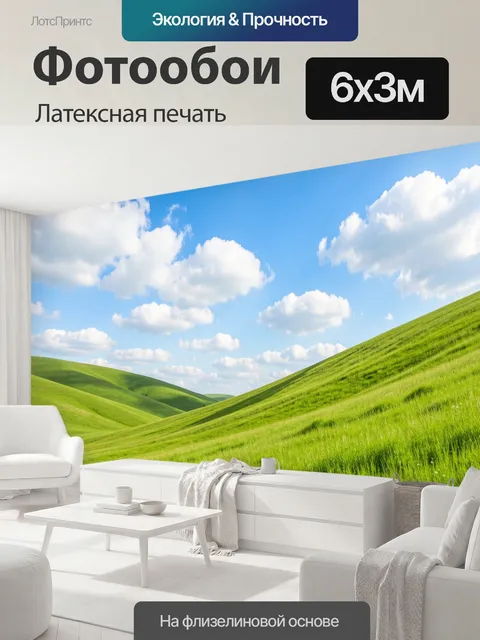 600 × 300 см · Латексная печать