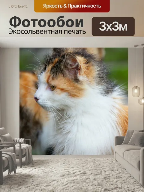 Фотообои Восхитительный, животное, кошка