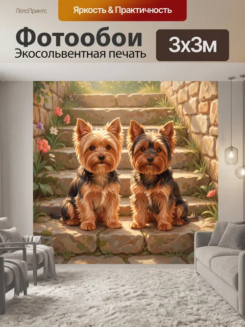Фотообои Два йорка на каменной дорожке. Два милых йоркширских терьера сидят на камнях в саду: тёплая пастель, золотист…