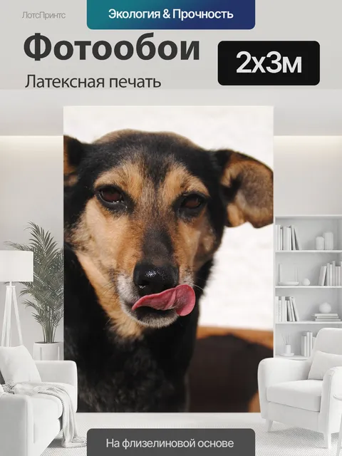 200 × 300 см · Латексная печать
