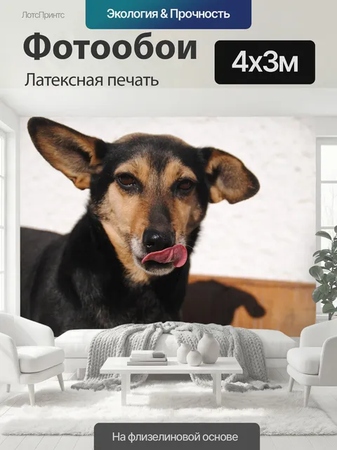 400 × 300 см · Латексная печать