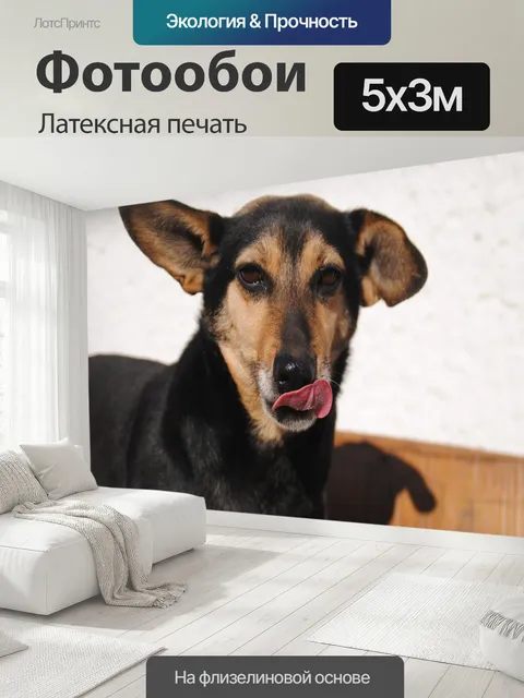 500 × 300 см · Латексная печать