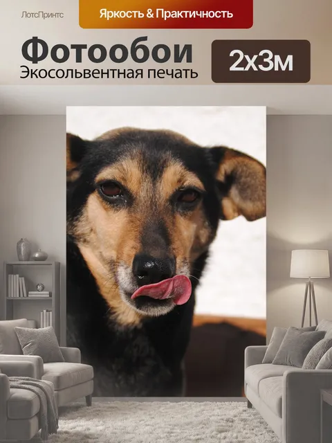 200 × 300 см · Экосольвентная печать