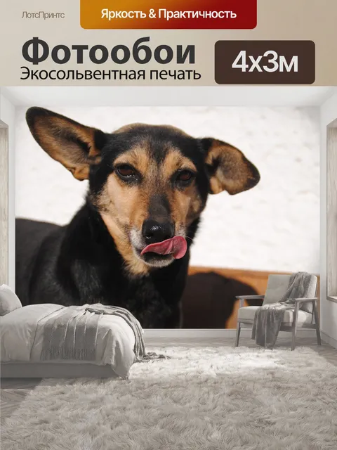 400 × 300 см · Экосольвентная печать