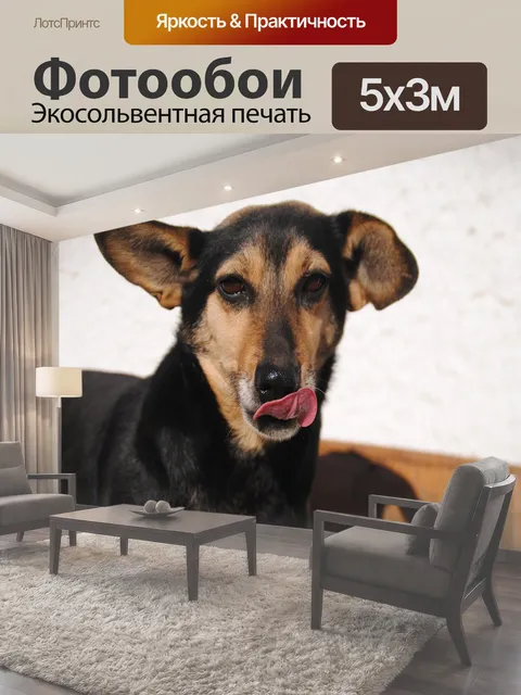 500 × 300 см · Экосольвентная печать