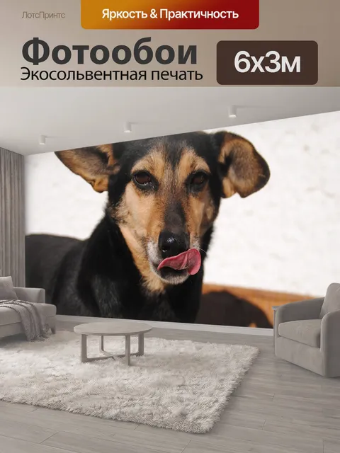600 × 300 см · Экосольвентная печать