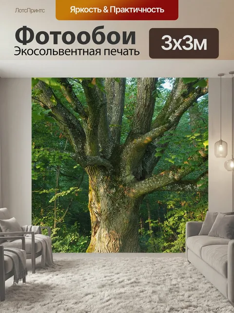 Фотообои Дерево, ветви, ствол дерева