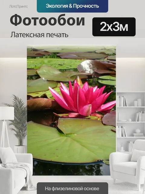 200 × 300 см · Латексная печать