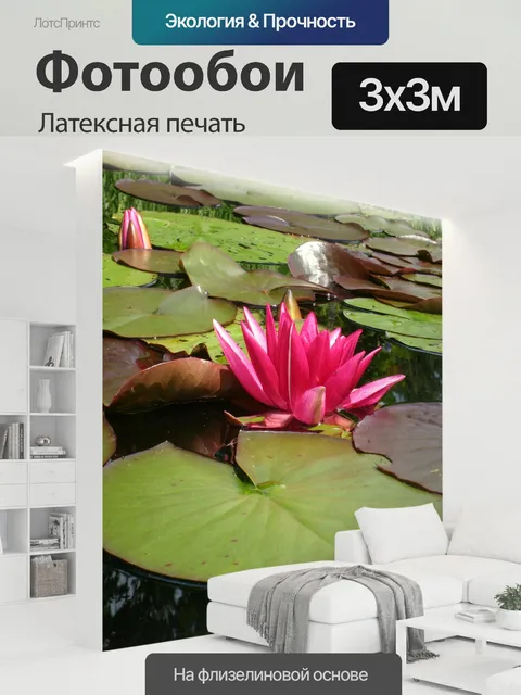 300 × 300 см · Латексная печать