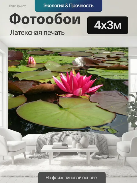 400 × 300 см · Латексная печать