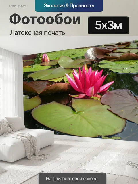 500 × 300 см · Латексная печать