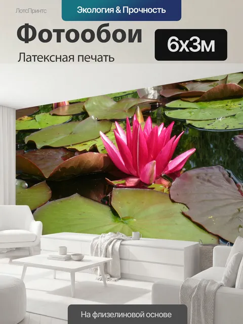 600 × 300 см · Латексная печать