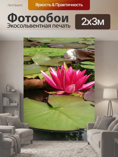 200 × 300 см · Экосольвентная печать