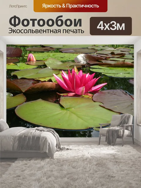 400 × 300 см · Экосольвентная печать