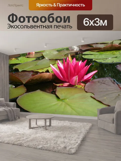600 × 300 см · Экосольвентная печать