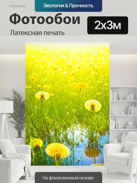 200 × 300 см · Латексная печать